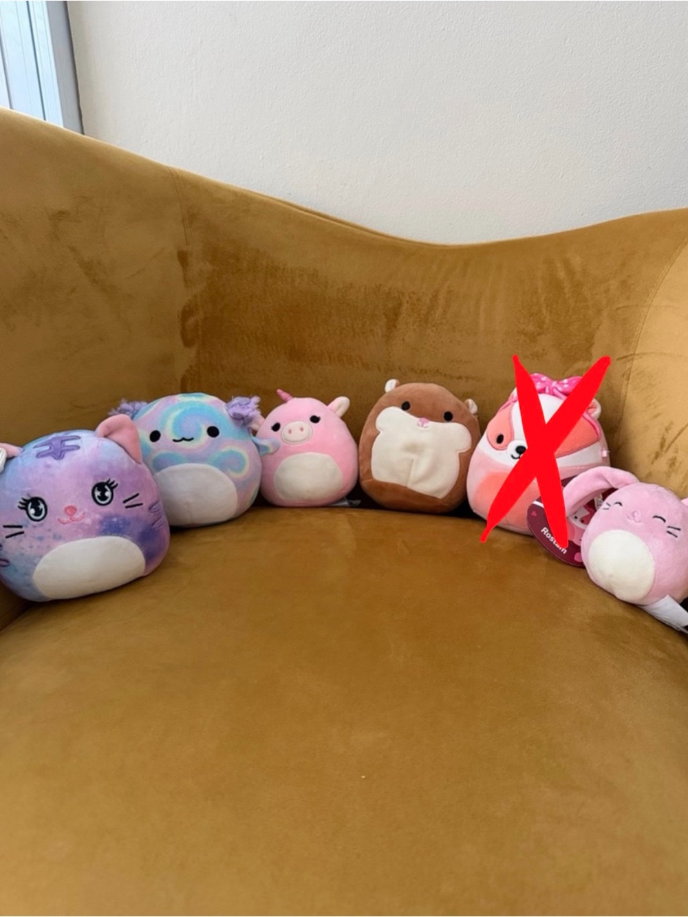 Squishmallows Animals Bundle 5